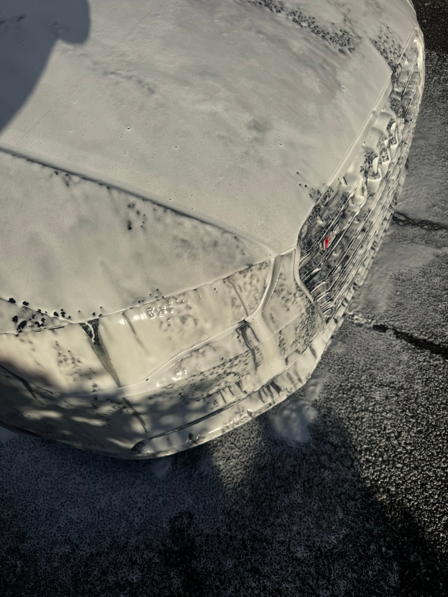 Car paint before detailing — dull and scratched